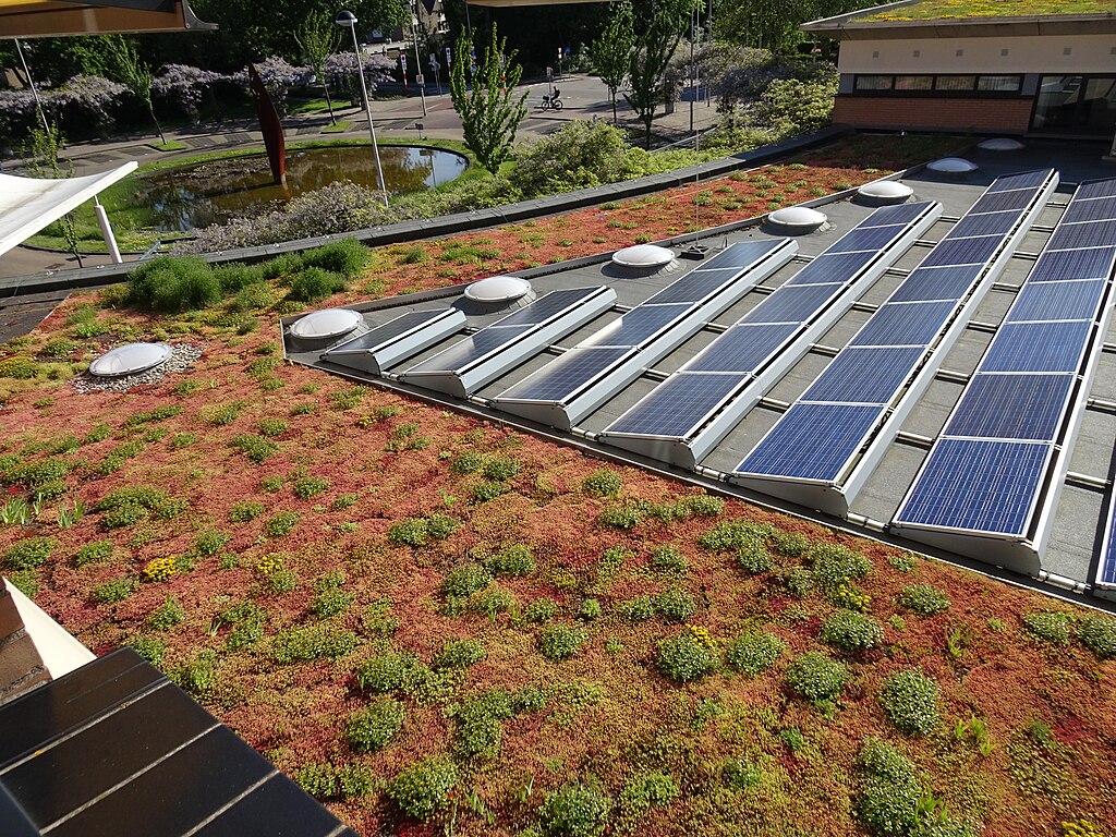 Groen dak met sedumplantjes gecombineerd met zonnepanelen op een plat dak voor duurzaamheid en energiebesparing.